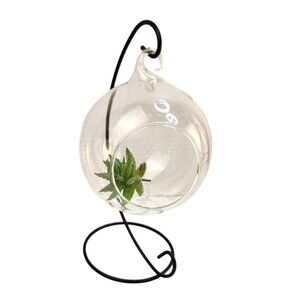 Hanging Glass Terrarium With Metal Stand Planter for Air Plants Succulents Candl